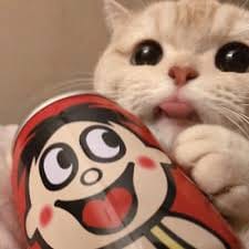 Asmavia Iqbal avatar